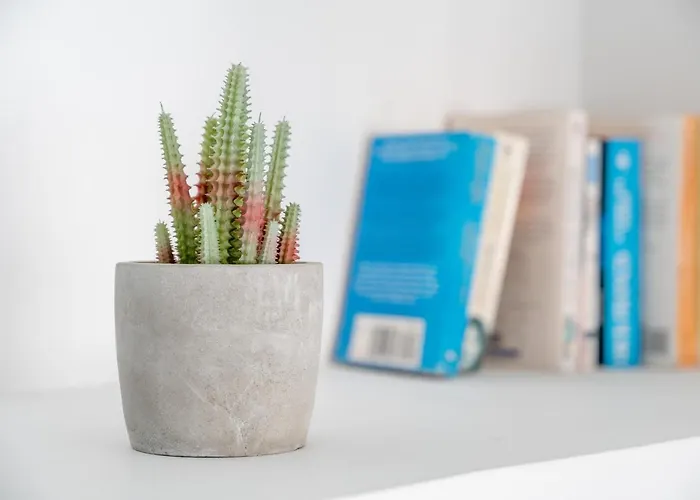 Isabela 2b-3 Con Atico *