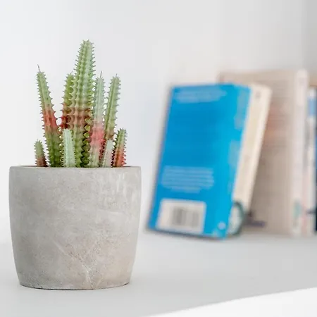 Isabela 2b-3 Con Atico *